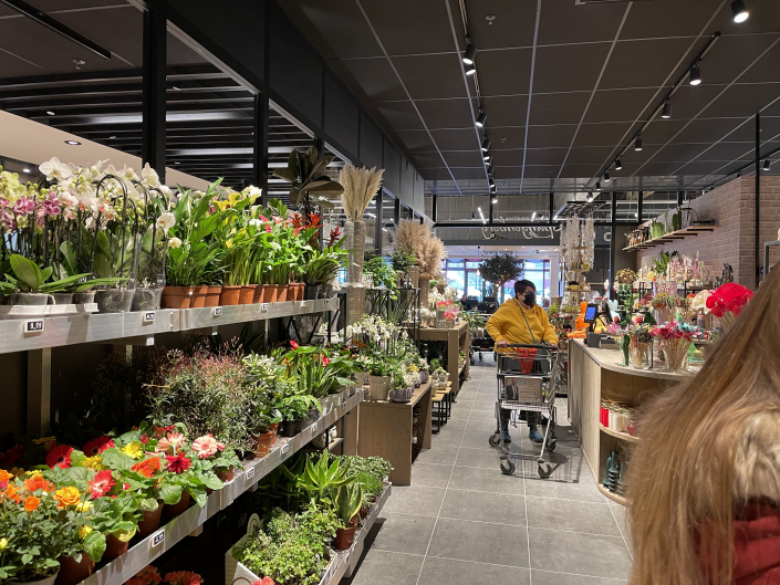 Blumen im Edeka Luchscenter