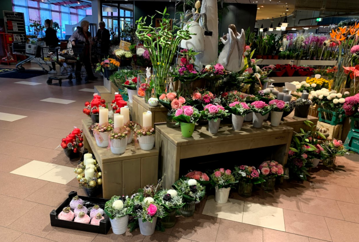 Blumen in Oberhausen