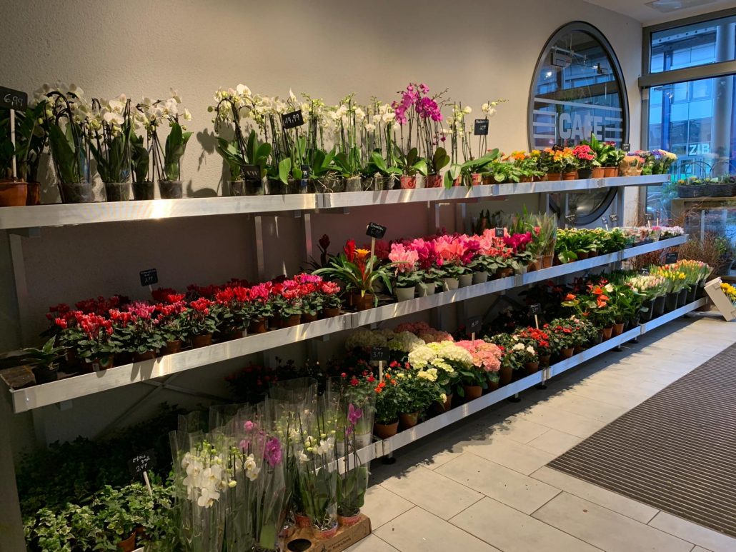 Blumen, Pflanzen & Deko in Bottrop Blumen Spangenberg